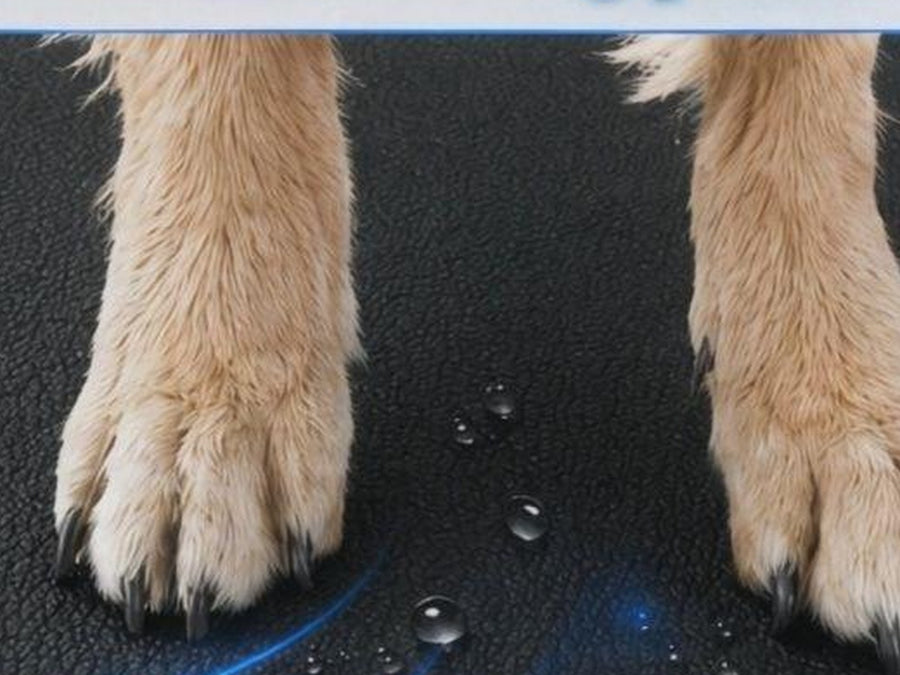 Dog paws on the waterproof hammock fabric with water beads