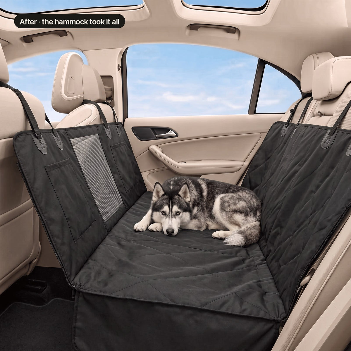 After: husky on the hammock, seat covered