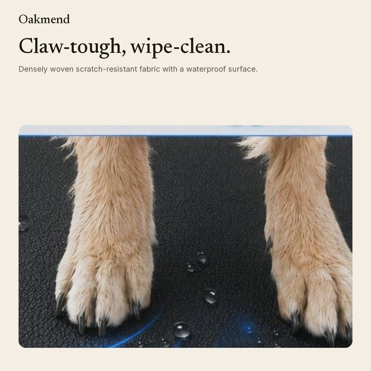 Close-up of dog paws on the scratch-resistant waterproof fabric
