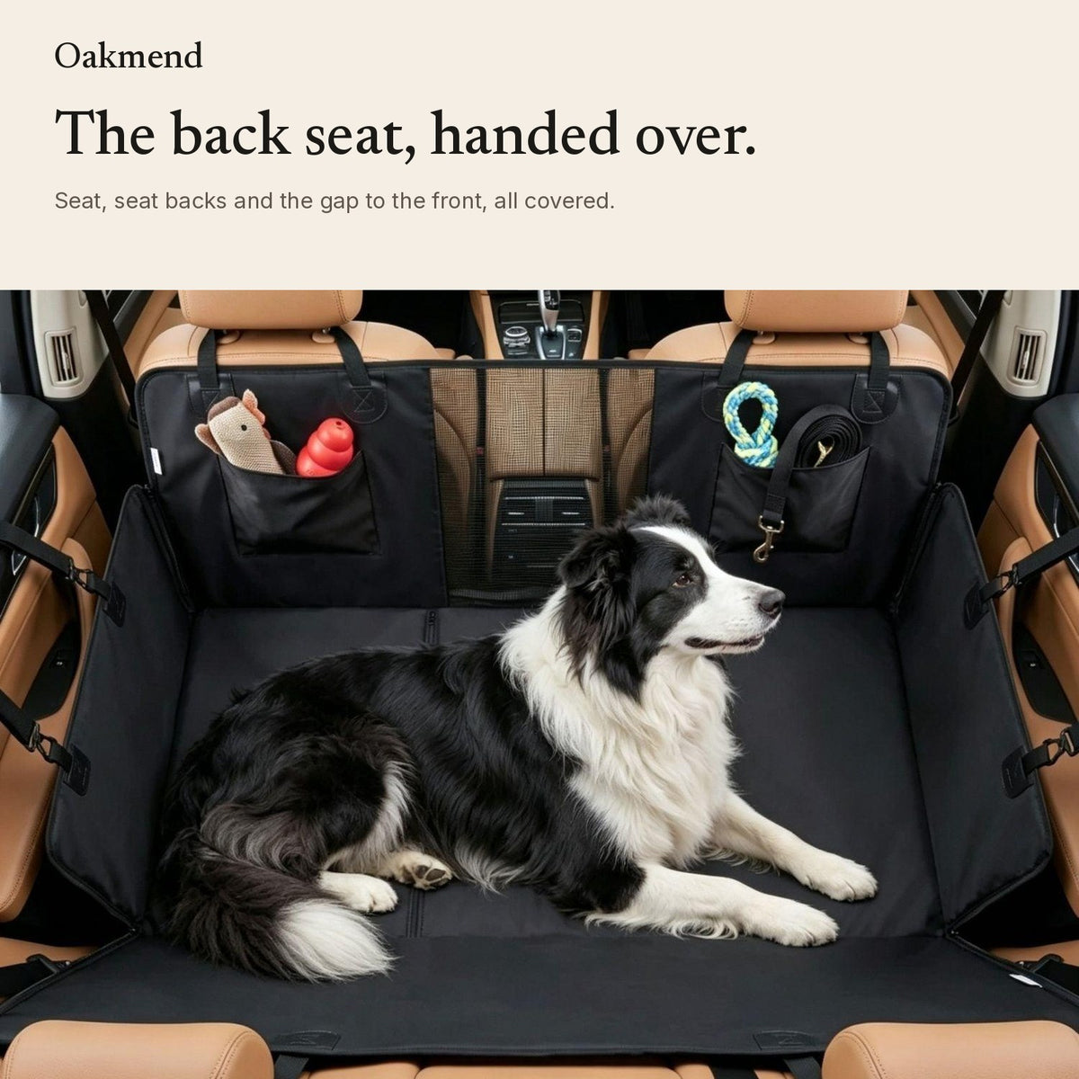 Border collie lying on the dog hammock in a car back seat