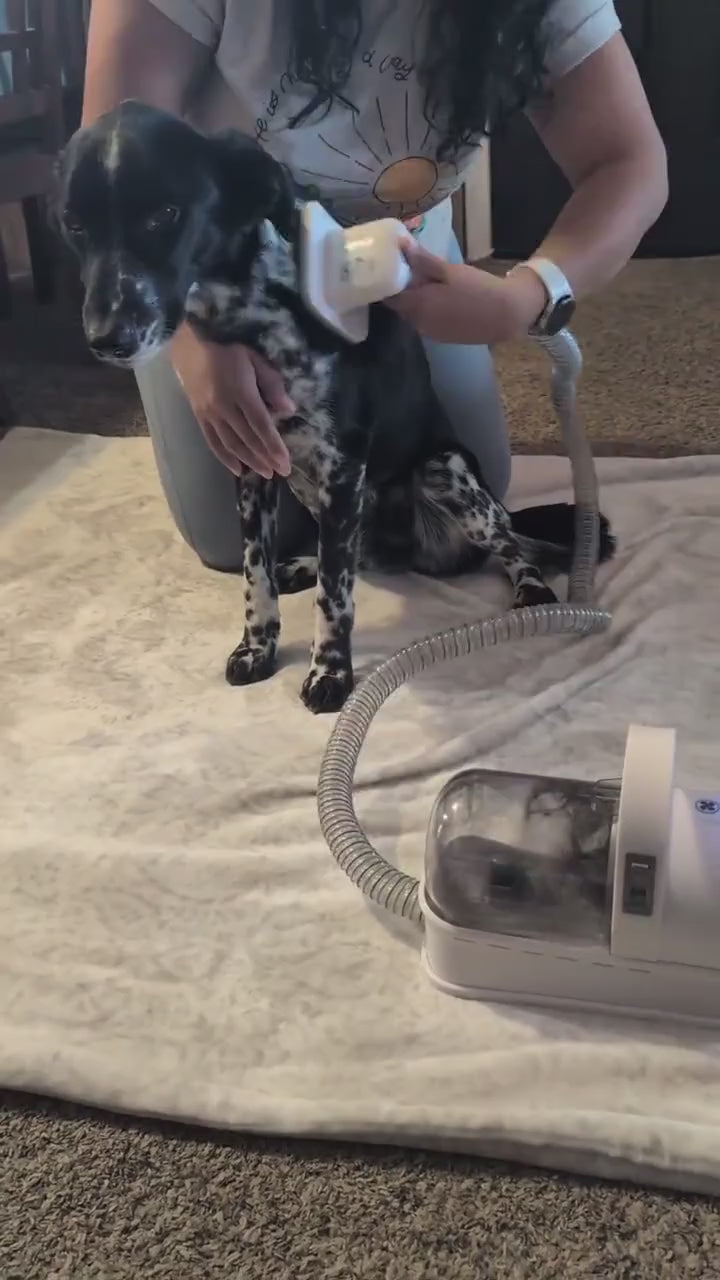 Pet Grooming Vacuum Kit with Clipper (2.5L) video