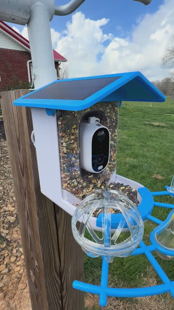 Solar Smart Bird Feeder with Camera