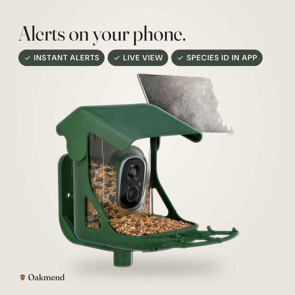Alerts on your phone.